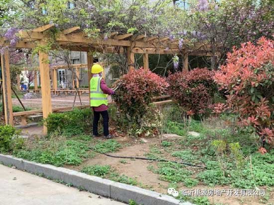 瑞德新居園林改造突飛猛進，見證‘家’速度