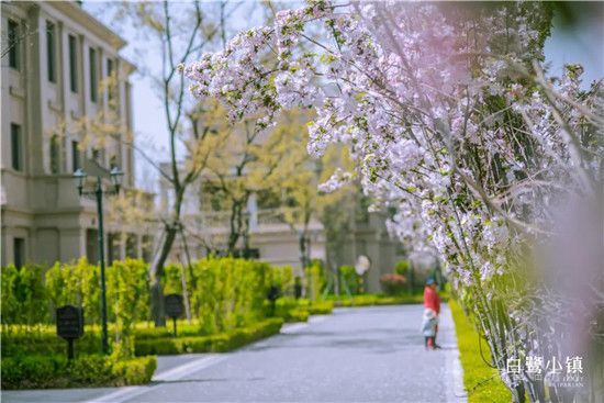 【白鷺金岸】周末活動(dòng) | 帽美如花，繽紛初夏