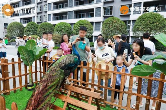 時(shí)代啟封 | 泰魯·時(shí)代城景觀園林示范區(qū)盛大開放